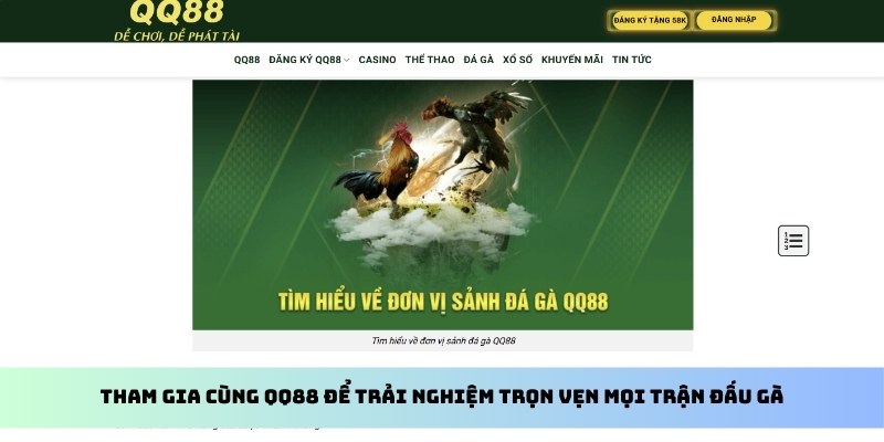 Đá Gà Thomo - Tìm Hiểu Toàn Bộ Về Hình Thức Cược Cùng kubet11 net 4 Tham gia cùng kubet11 net để trải nghiệm trọn vẹn mọi trận đấu gà