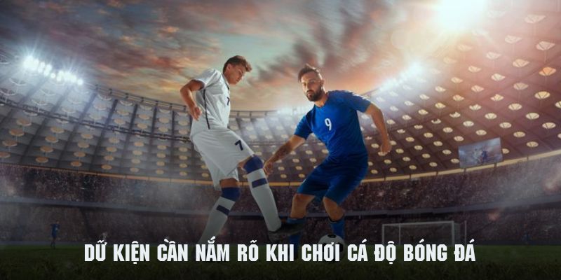 Kinh Nghiệm Cá Độ Bóng Đá - Bí Kíp Từ Chuyên Gia Tại kubet11 net 4 Những điều cần phân tích trước khi tham gia cá độ bóng đá