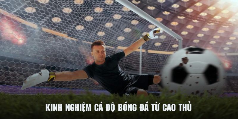 Kinh Nghiệm Cá Độ Bóng Đá - Bí Kíp Từ Chuyên Gia Tại kubet11 net 3 Kinh nghiệm cá độ bóng đá xương máu từ nhiều chuyên gia